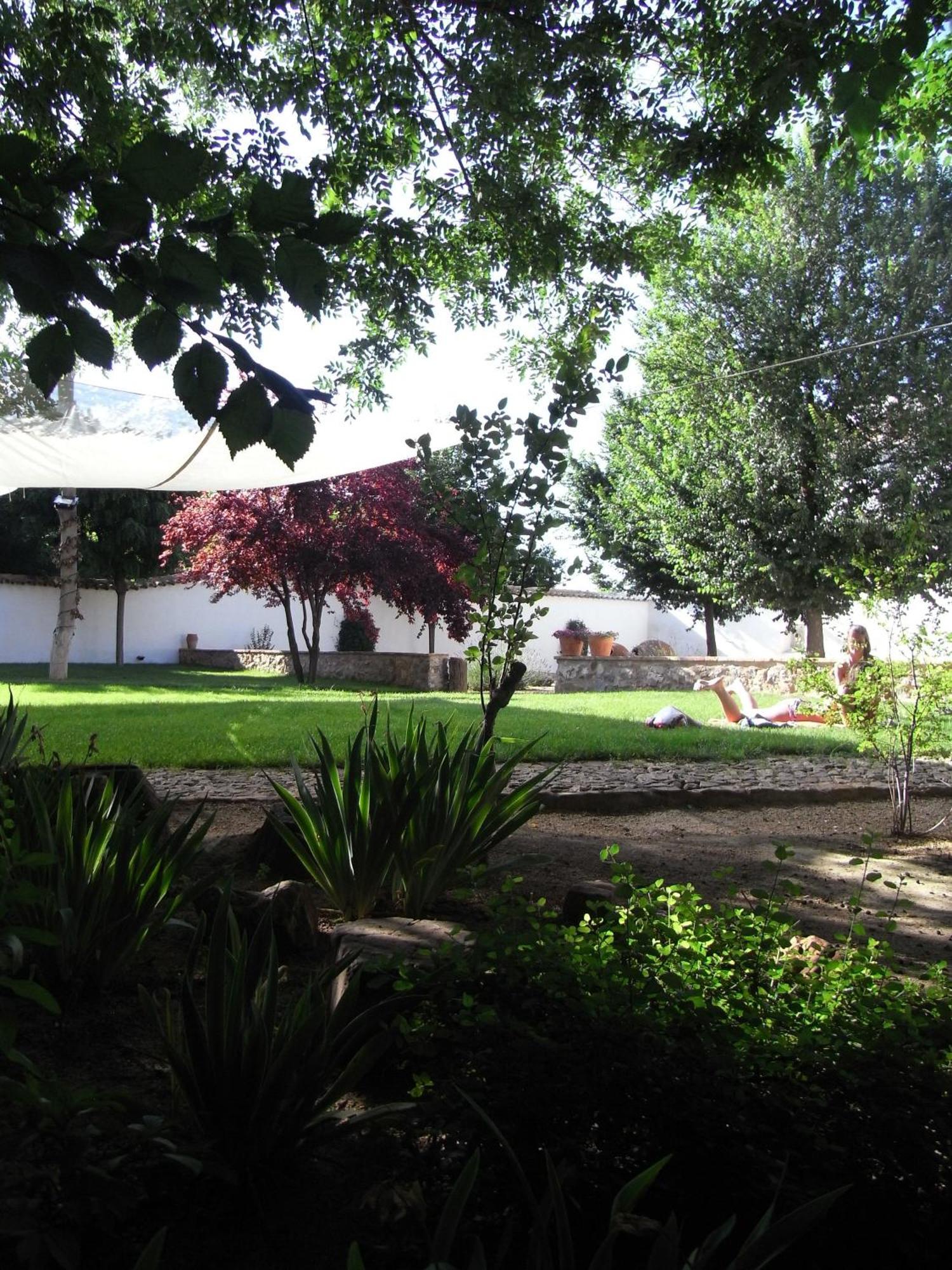 Casa Rural La Alameda Madridejos Eksteriør billede