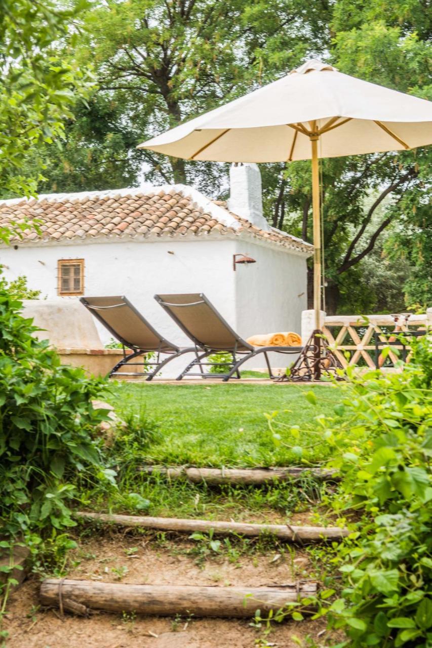 Casa Rural La Alameda Madridejos Eksteriør billede