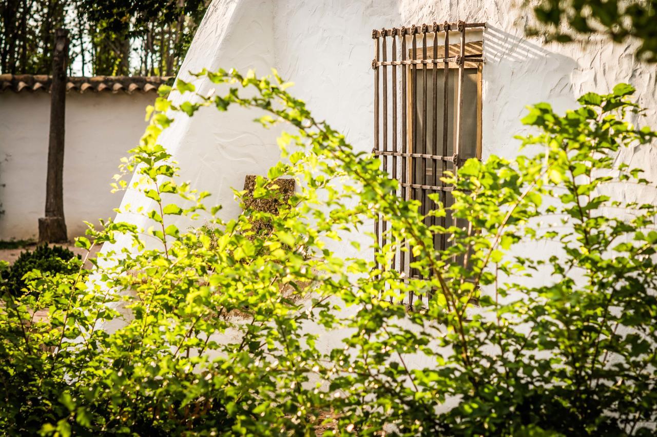 Casa Rural La Alameda Madridejos Eksteriør billede